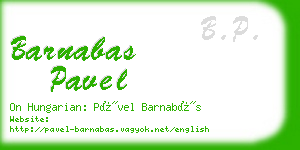 barnabas pavel business card